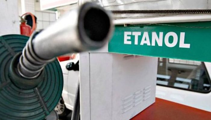 Foto: Conteúdo e Notícias do Agronegócio Brasileiro | CompreRura