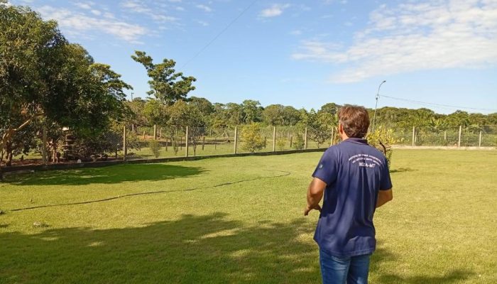 Foto de aves — Foto: Foto: Indea