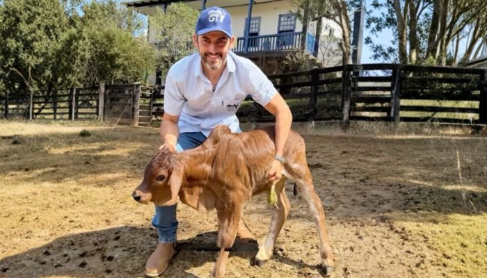Guilherme-Gervasio-da-Fazenda-GT-Boran-Brasil