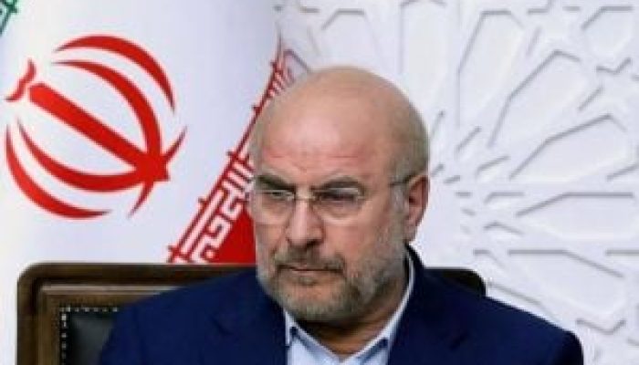 IMAGE-2026-01-11-172736-300x200-1