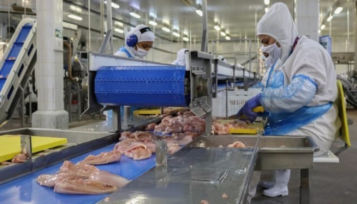 Foto: Conteúdo e Notícias do Agronegócio Brasileiro | CompreRura
