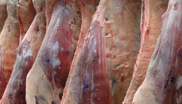 Foto: Conteúdo e Notícias do Agronegócio Brasileiro | CompreRura