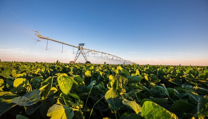 Foto: Conteúdo e Notícias do Agronegócio Brasileiro | CompreRura