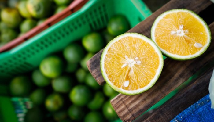 Foto: Conteúdo e Notícias do Agronegócio Brasileiro | CompreRura