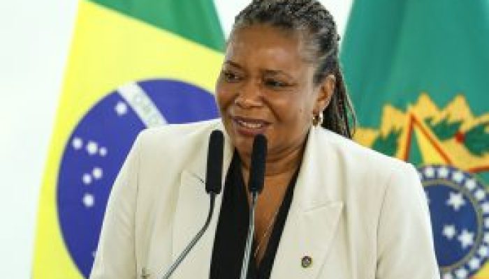 Lei-Rouanet-300x200-1