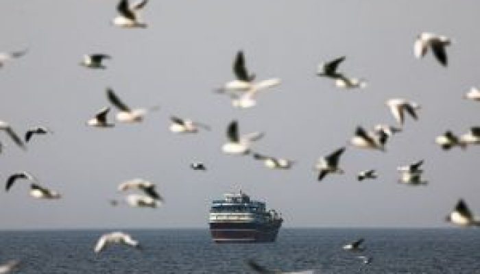 Navio_Estreito_Ormuz