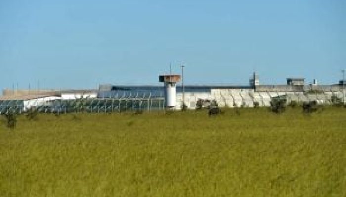 Papudinha-Torres-300x179-1