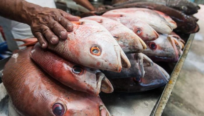 Foto: Foto: Divulgação
