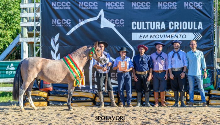 Foto: Conteúdo e Notícias do Agronegócio Brasileiro | CompreRura