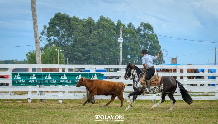 Foto: Conteúdo e Notícias do Agronegócio Brasileiro | CompreRura