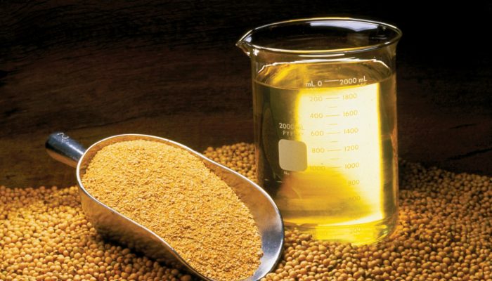 Foto: Foto: Divulgação