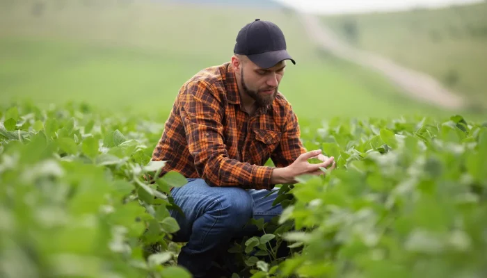 Trabalhador-no-campo-Divulgacao-Abrass