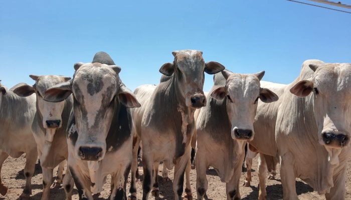 WhatsApp-Image-2020-09-08-at-12.46.42