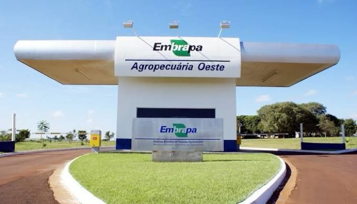 Foto: Conteúdo e Notícias do Agronegócio Brasileiro | CompreRura