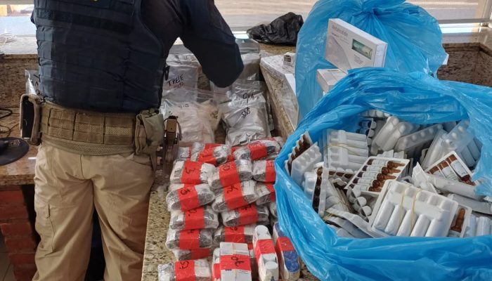 Van com placas paraguaias apreendida transportava substâncias sem documentação v