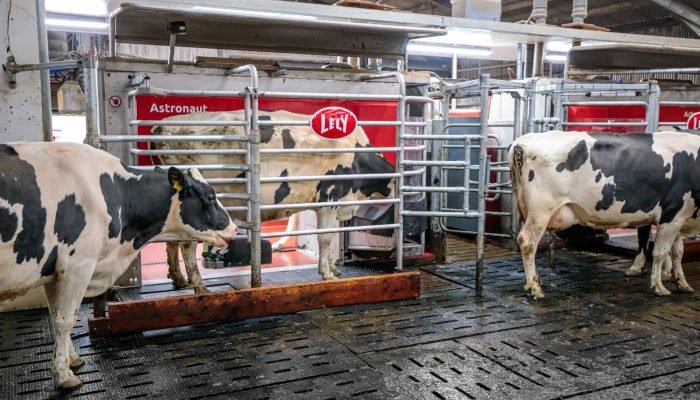 Foto: Conteúdo e Notícias do Agronegócio Brasileiro | CompreRura