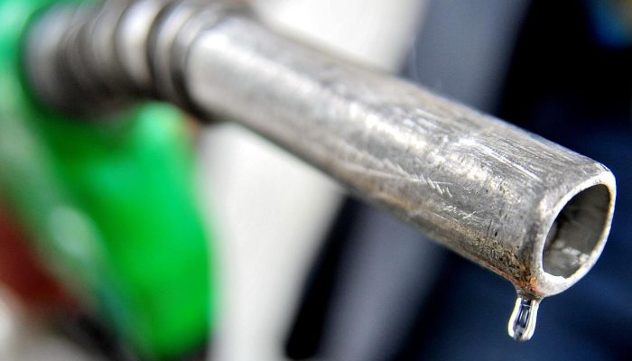 Foto: Foto: Divulgação