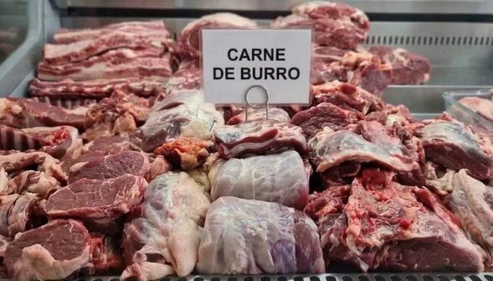argentina-carne-de-burro