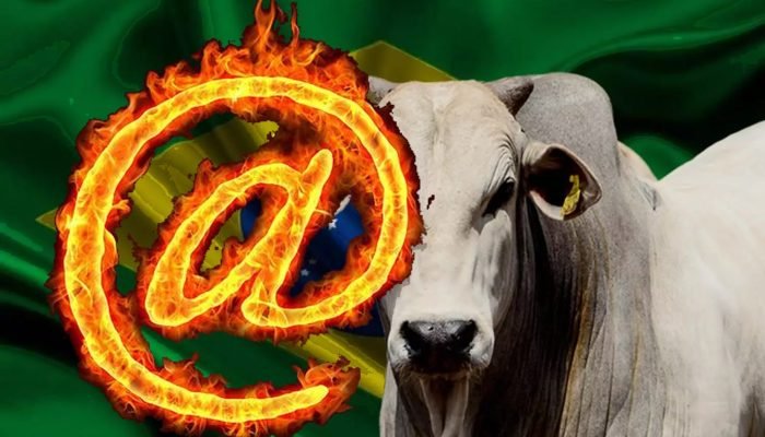 arroba-boi-gordo-comprerural