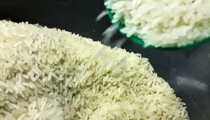 Foto: Conteúdo e Notícias do Agronegócio Brasileiro | CompreRura