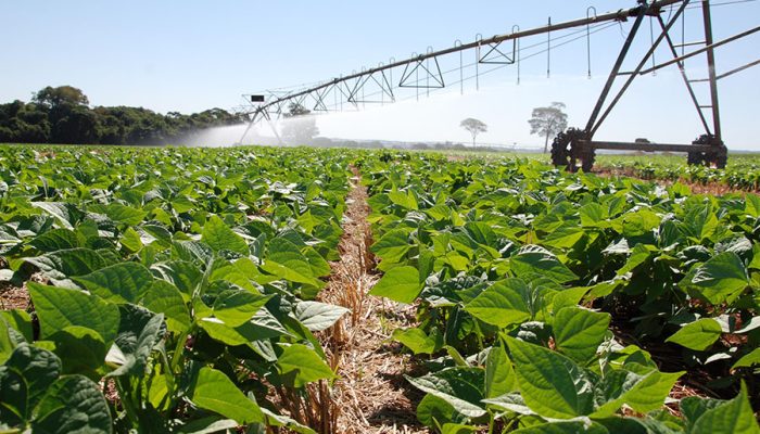 Foto: Foto: Sebastião Araújo