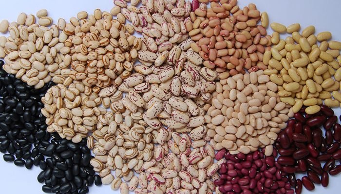 Foto: Conteúdo e Notícias do Agronegócio Brasileiro | CompreRura