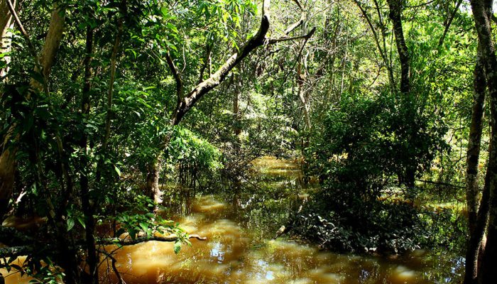 Foto: Foto: Felipe Rosa