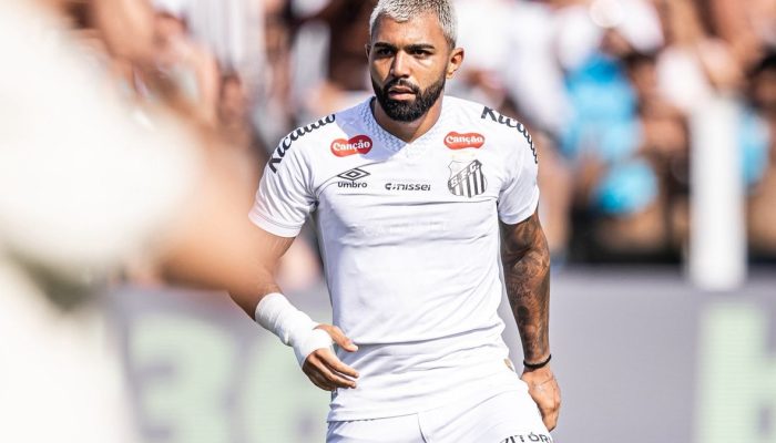 Gabigol marcou contra o Novorizontino — Foto: Reprodução/SantosFCGabigol marcou