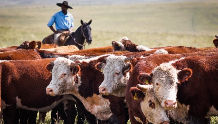 Foto: WENDERSON ARAUJO/TRILUX/CNA/DIVULGAÇÃO
