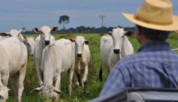Foto: Foto: Divulgação