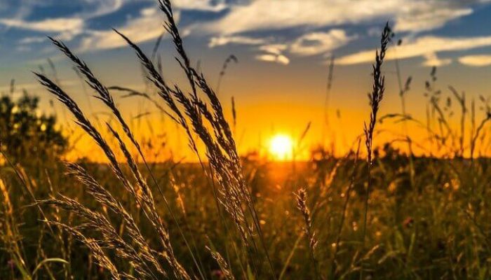 Foto: Governo do Paraná