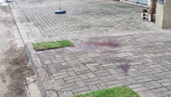 Foto: Banda B apurou que suspeitos fugiram após o crime. Foto: Kainan Lucas/ Ban