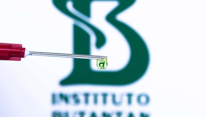 Vacina do Butantan contra a dengue — Foto: Vacina do Butantan contra a dengue fo