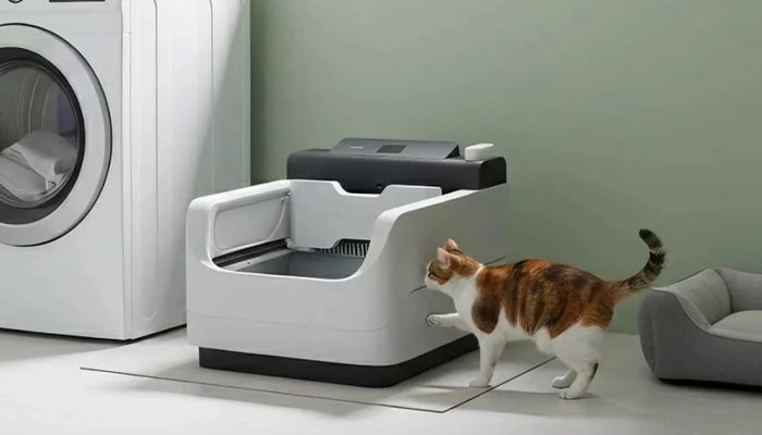 Foto: Logotipo Olhar Digital