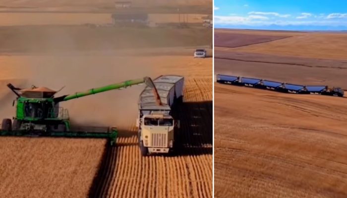 Foto: Portal CompreRural