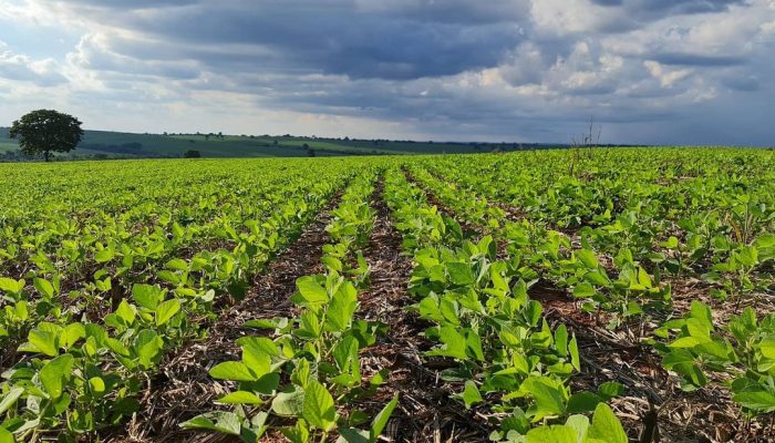 Foto: Foto: Divulgação