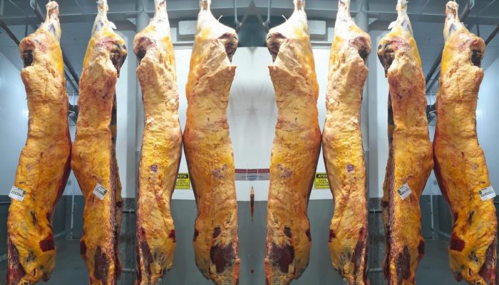 Mercado de carne bovina brasileiro segue em expansão apesar de restrições.