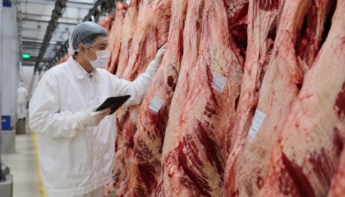 carne-bovina-para-china