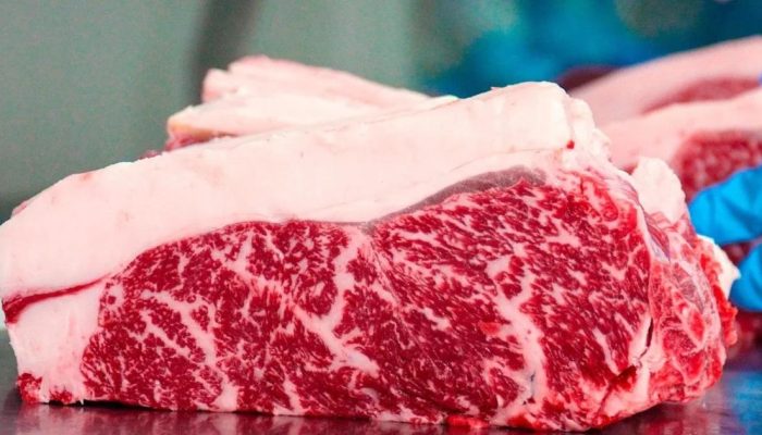 carne-wagyu