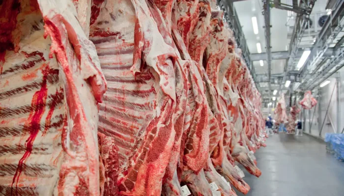 Foto: Conteúdo e Notícias do Agronegócio Brasileiro | CompreRura