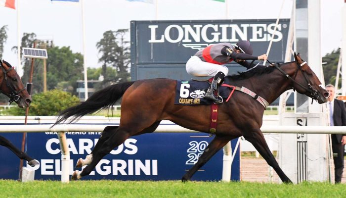O cavalo Obataye conquistou a maior prova de turfe argentino — Foto: Foto: Divul