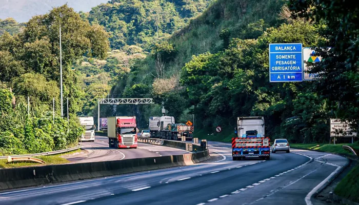 Foto: Montar potro cedo demais pode “destruir” a coluna e comprometer toda a vid
