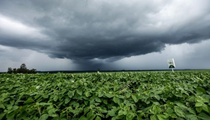 Foto: Foto: Divulgação