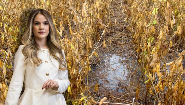 Foto: Foto: Divulgação