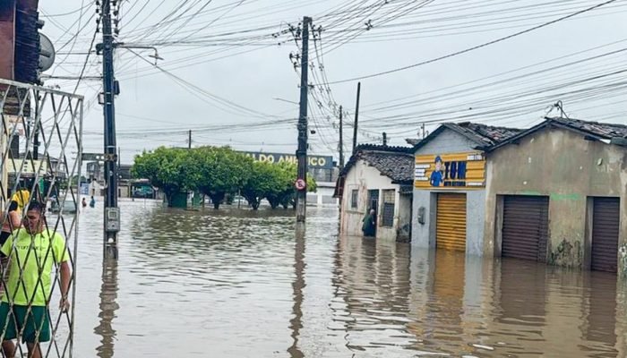 Foto: Conteúdo e Notícias do Agronegócio Brasileiro | CompreRura
