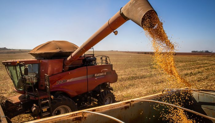 Foto: Foto: Wenderson Araujo/Trilux