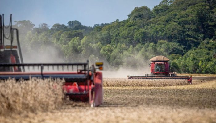 Foto: Foto: Wenderson Araujo