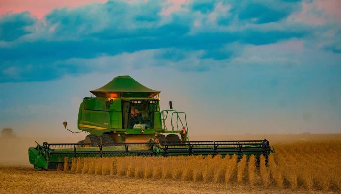 Foto: Foto: Reprodução / Fazendas Milanesi Buriti