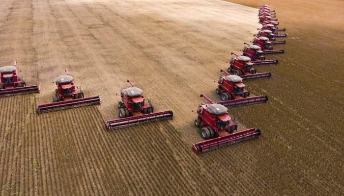 Foto: Foto: Divulgação