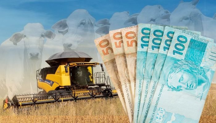Foto: Conteúdo e Notícias do Agronegócio Brasileiro | CompreRura